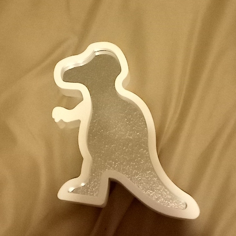 Dinosaur mirrors